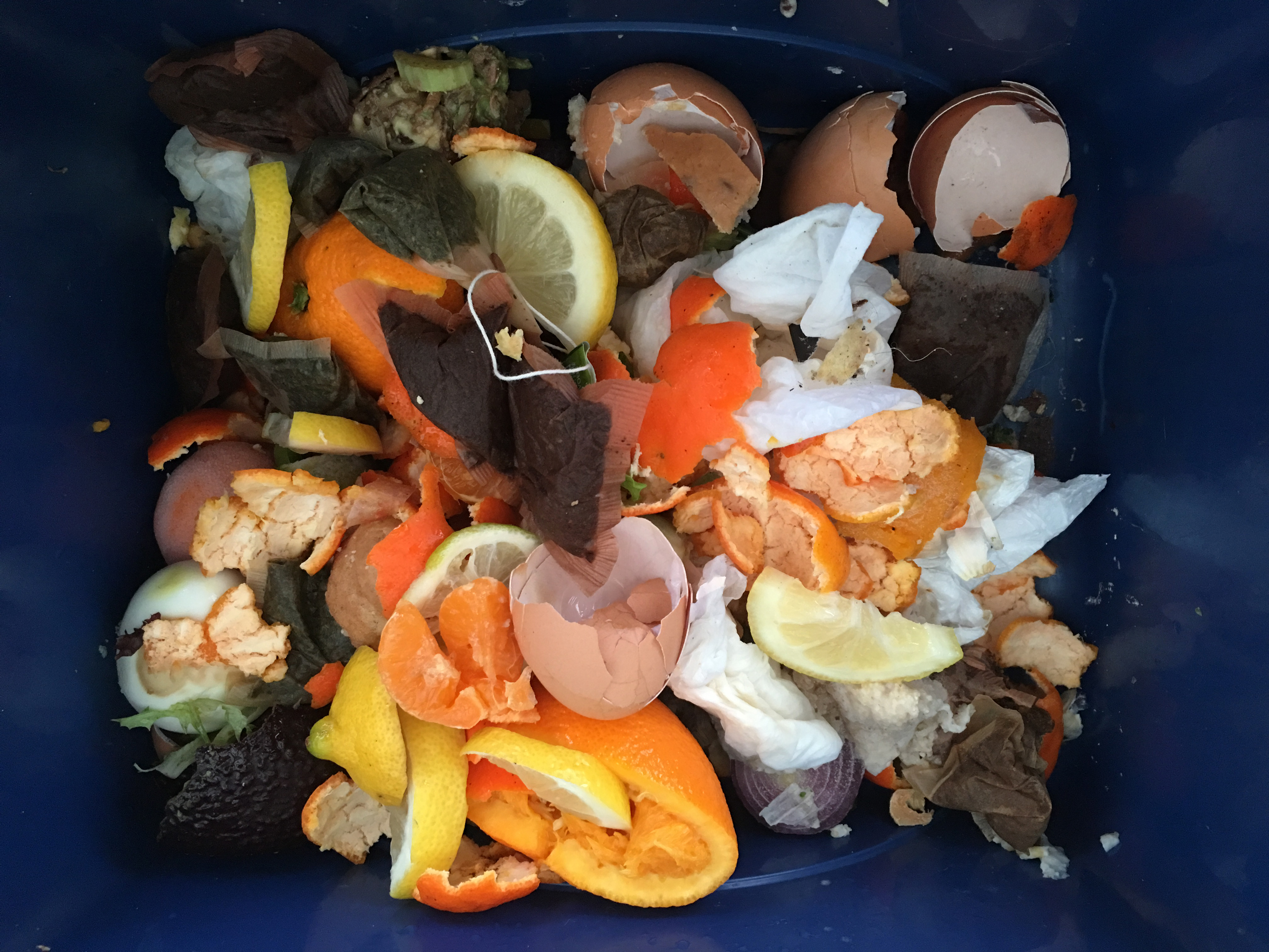 Food and horticultural waste