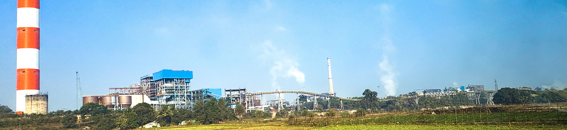 Biomass Power Plant
